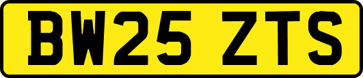 BW25ZTS