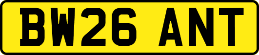BW26ANT