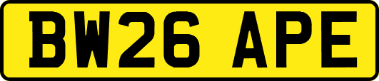 BW26APE
