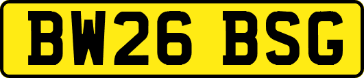 BW26BSG