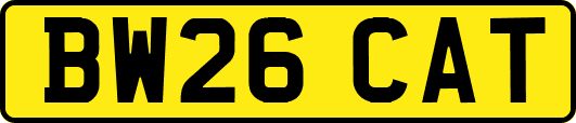 BW26CAT