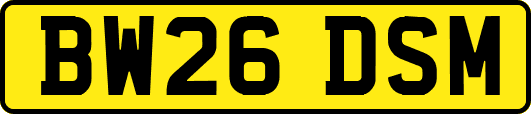 BW26DSM