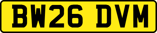 BW26DVM