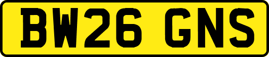 BW26GNS