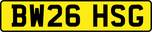 BW26HSG