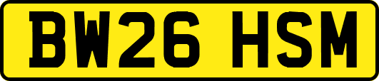 BW26HSM