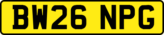 BW26NPG