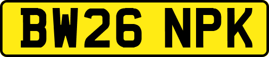 BW26NPK
