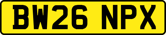 BW26NPX