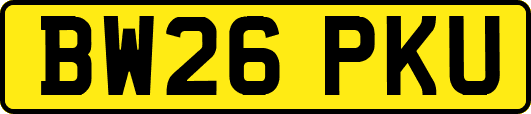 BW26PKU