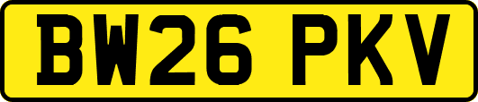 BW26PKV