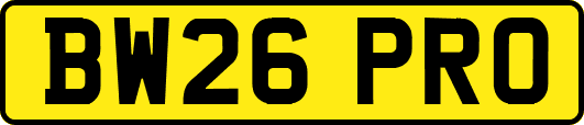 BW26PRO