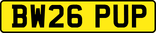 BW26PUP