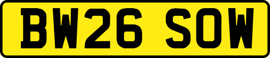 BW26SOW