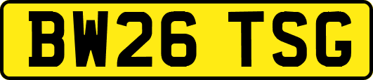 BW26TSG