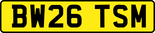 BW26TSM