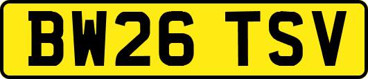 BW26TSV