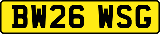 BW26WSG