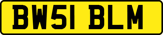 BW51BLM
