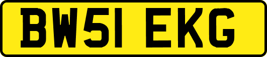 BW51EKG