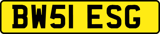 BW51ESG