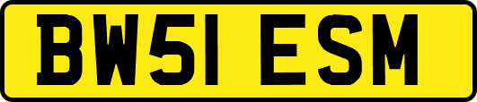 BW51ESM
