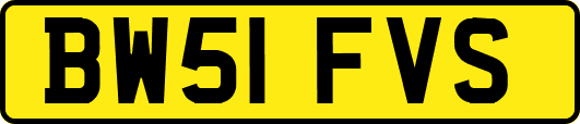 BW51FVS