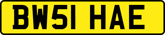 BW51HAE