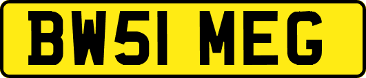 BW51MEG