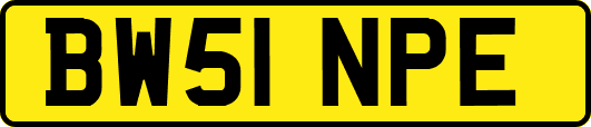 BW51NPE