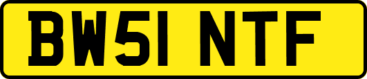BW51NTF