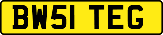 BW51TEG