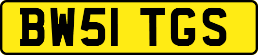 BW51TGS