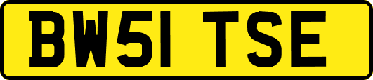 BW51TSE