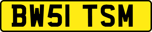 BW51TSM