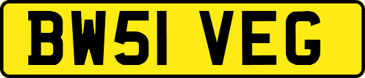 BW51VEG