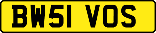 BW51VOS