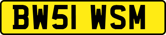 BW51WSM