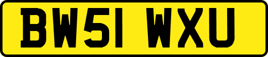 BW51WXU