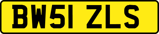 BW51ZLS