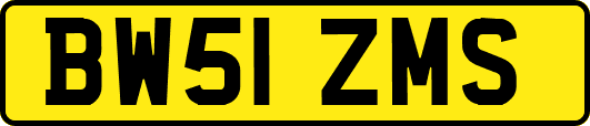 BW51ZMS