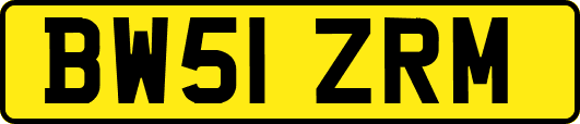 BW51ZRM
