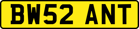 BW52ANT