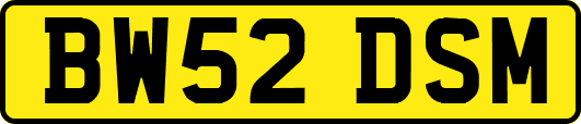 BW52DSM