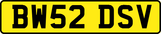 BW52DSV