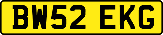 BW52EKG