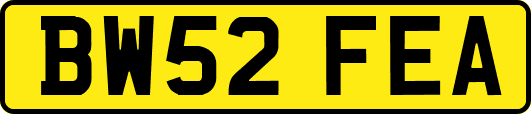 BW52FEA
