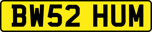 BW52HUM