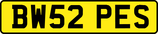 BW52PES