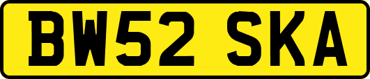 BW52SKA